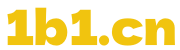 1B1